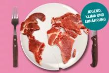 Fleisch in Form aller Kontinente auf einem Teller