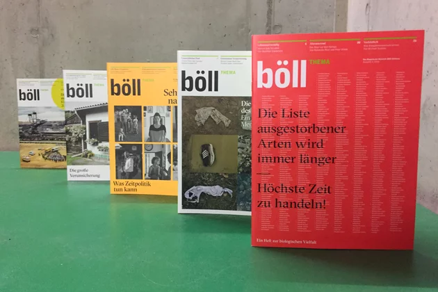 Das Bild zeigt fünf Magazine, die aufrecht aufgereiht sind.