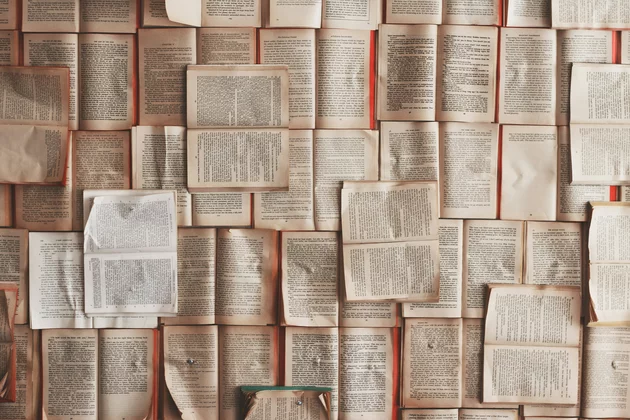 Das Bild zeigt viele offene Bücher.