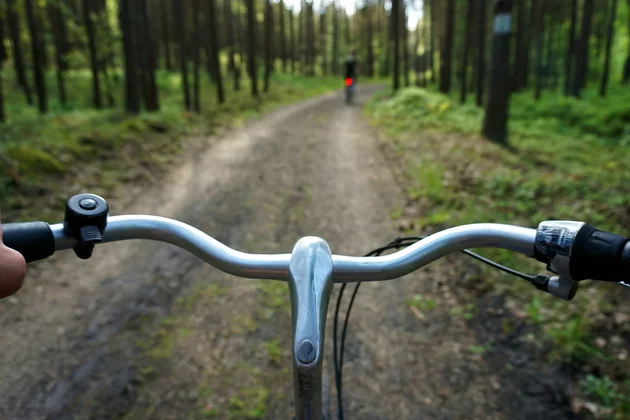 POV eines Fahrradfahrenden, ein Lenker in einem Wald.