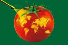 Eine rote Tomate als Globus auf grünem Hintergrund, die mit einer gelben Flüssigkeit besprüht wird