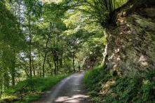 Das Bild zwigt einen Radfahrer in der Ferne auf einem asphaltierten Weg durch den Wald.