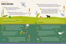 12 kurze Lektionen über Pestizide