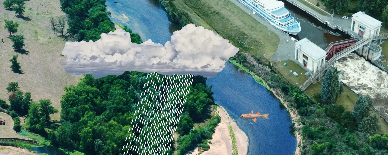 Das Bild zeigt eine Collage von Gewässern, Wolken, Fischen, Vögeln, eine Sammlung rund um das Thema Wasser.